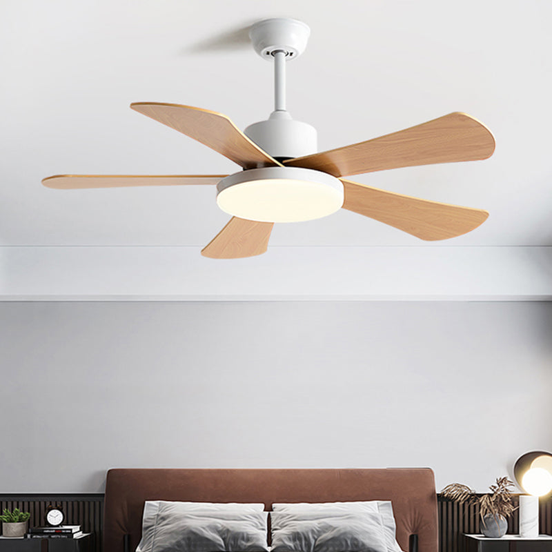 Metal Ceiling Fan Light Modern Style 1 Light Ceiling Fan Lamp for Bedroom