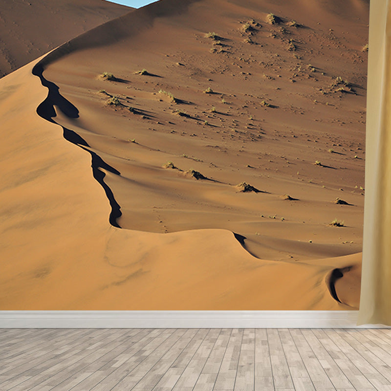 Decorative Photography Modern Wallpaper Desert Drawing Room Wall Mural