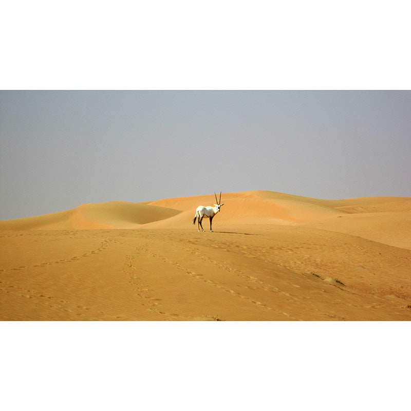 Eco-friendly Photography Desert Mural Wallpaper Living Room Wallpapaer