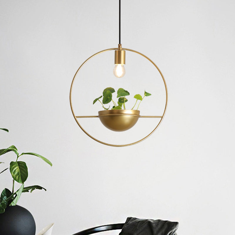 Gold 1 Head Pendant Lamp Industrial Metal Round Hanging Ceiling Light with Plant Decoration