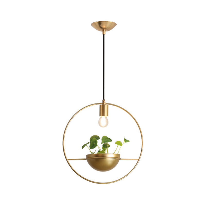 Gold 1 Head Pendant Lamp Industrial Metal Round Hanging Ceiling Light with Plant Decoration