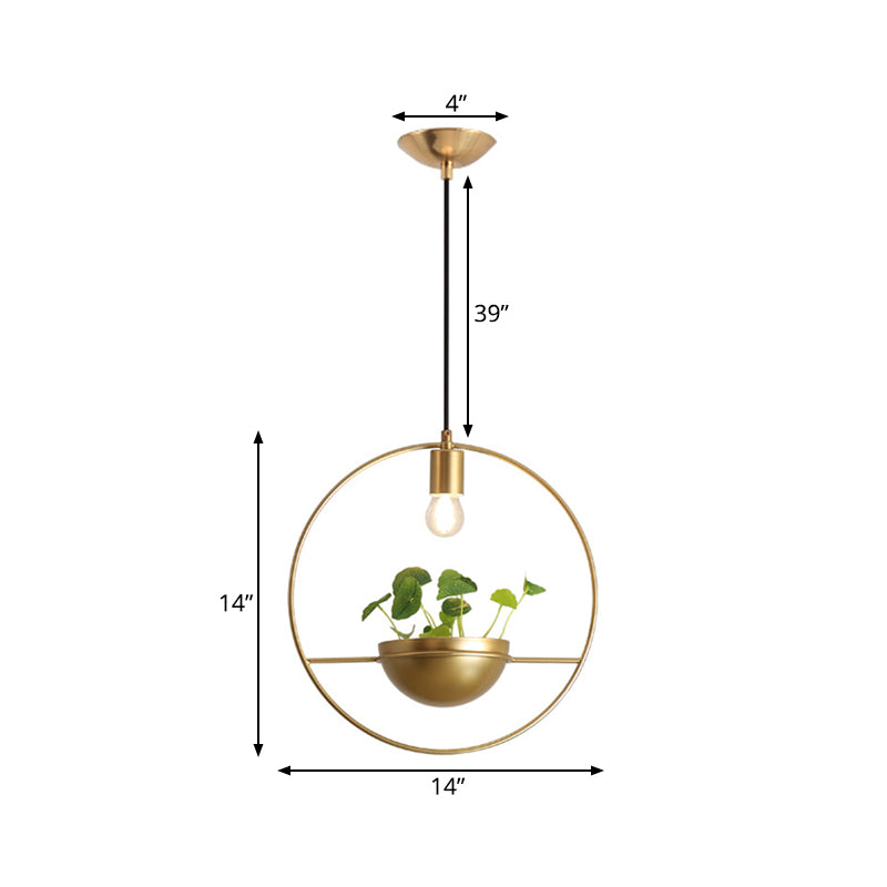 Gold 1 Head Pendant Lamp Industrial Metal Round Hanging Ceiling Light with Plant Decoration