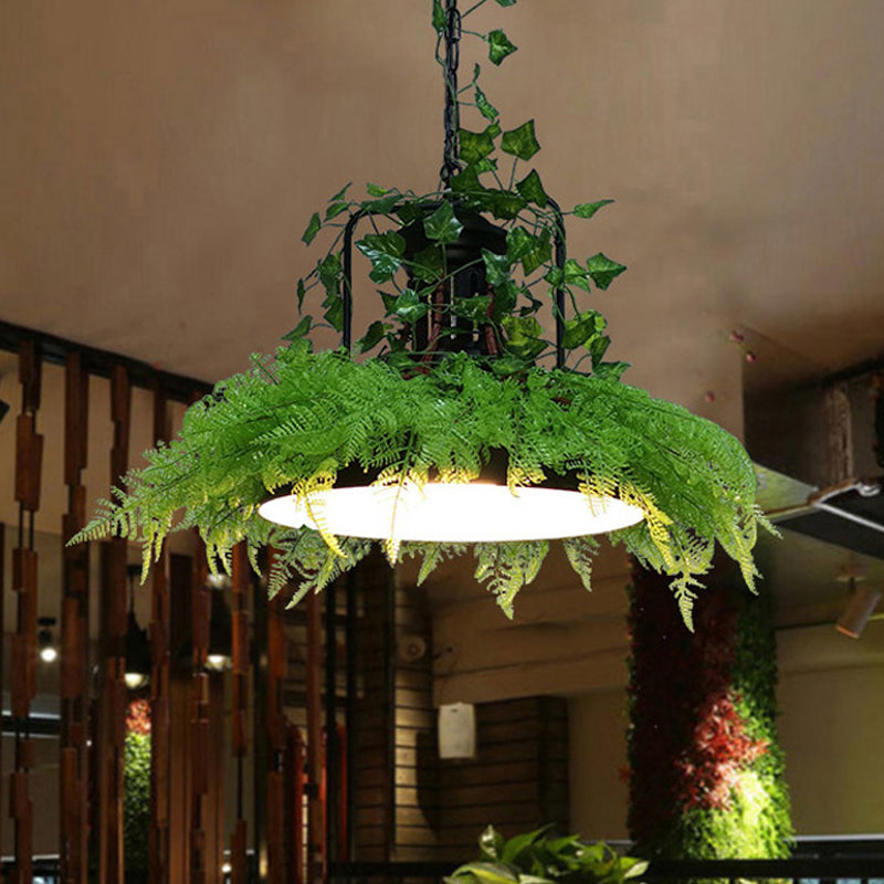 Black Barn Plafond Suspension lampe industrielle métal industriel 1 Restaurant Plante LED Plante Pendante Lumière, 14 "/ 18" /21,5 "W