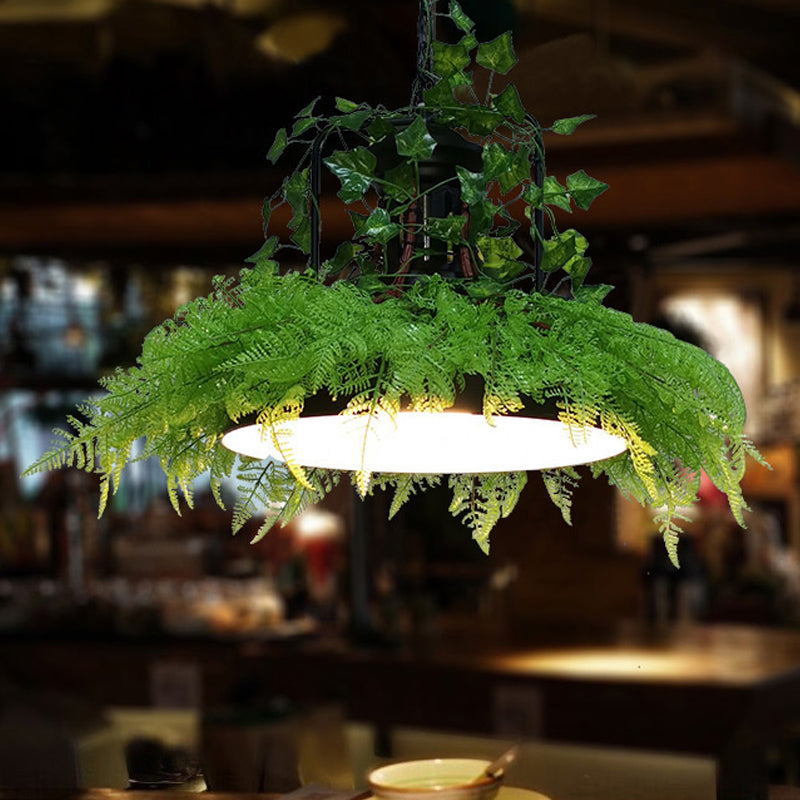 Black Barn Plafond Suspension lampe industrielle métal industriel 1 Restaurant Plante LED Plante Pendante Lumière, 14 "/ 18" /21,5 "W