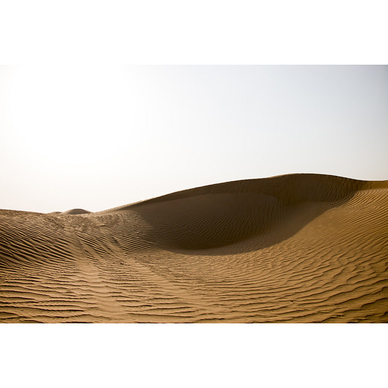 Environmental Desert Photography Wallpaper Home Decor Mural Wallpaper