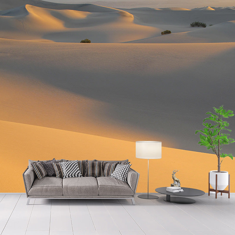 Environmental Photography Desert Wallpaper Drawing Room Wall Mural