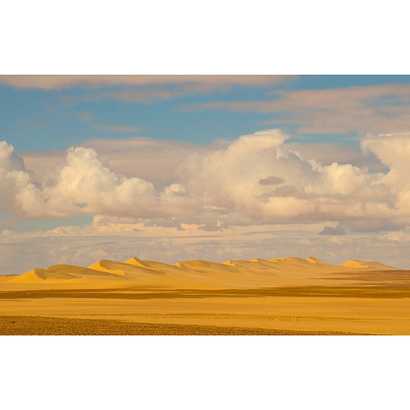 Environmental Photography Desert Wallpaper Drawing Room Wall Mural