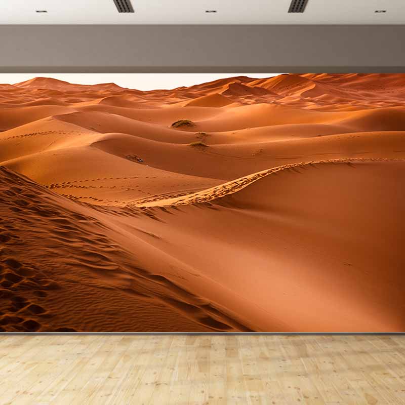 Photography Stain Resistant Desert Wallpaper Drawing Room Wall Mural