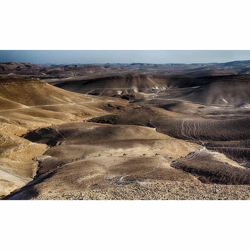 Environmental Desert Photography Mural Wallpaper Living Room Wall Mural