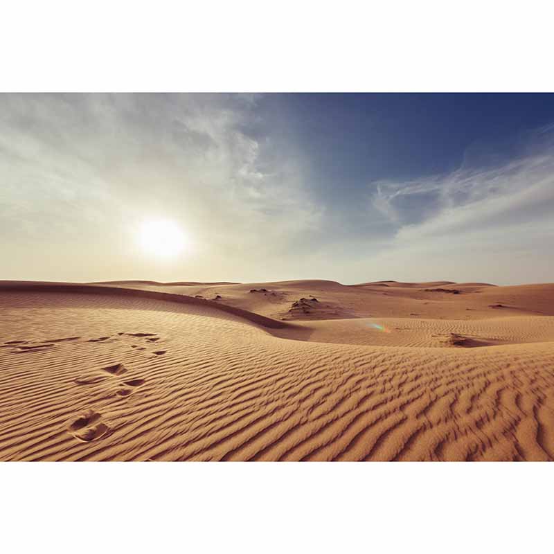 Desert Photography Mildew Resistant Mural Wallpaper Home Decor Wall Mural