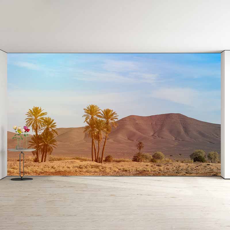 Photography Desert Stain Resistant Wall Mural Home Decor Wallpaper