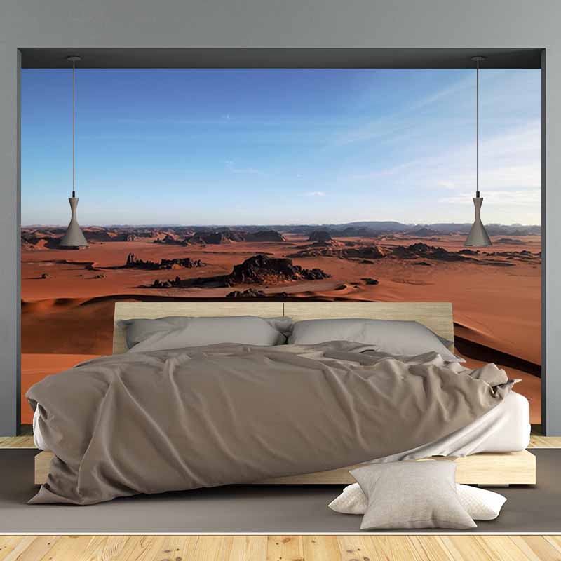 Photography Desert Stain Resistant Wall Mural Home Decor Wallpaper