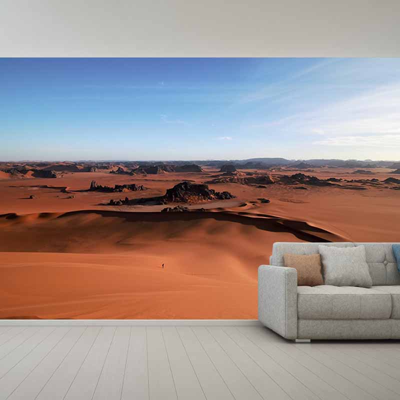 Photography Desert Stain Resistant Wall Mural Home Decor Wallpaper