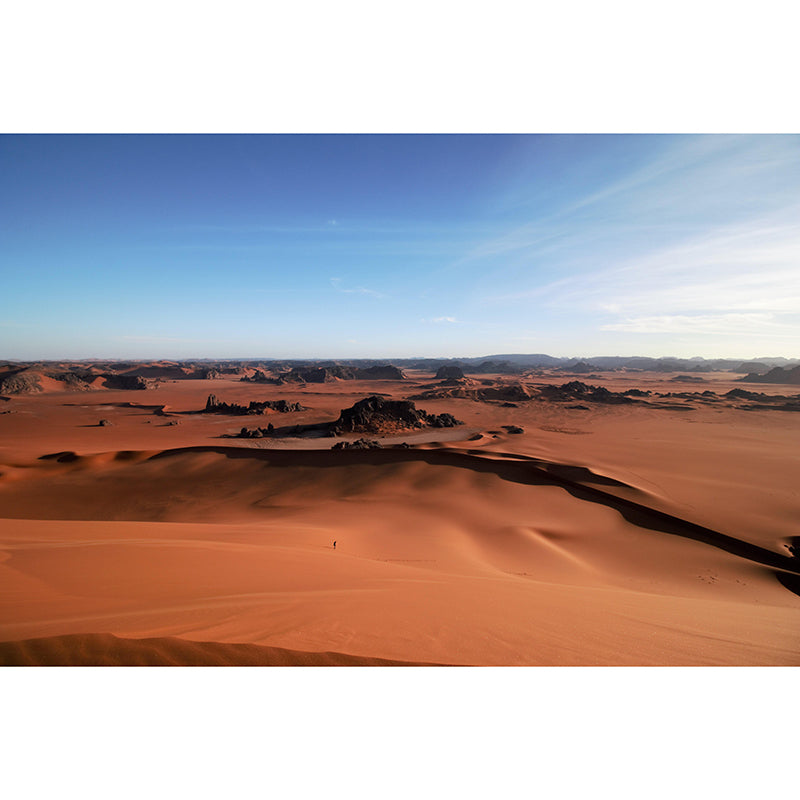 Photography Desert Stain Resistant Wall Mural Home Decor Wallpaper