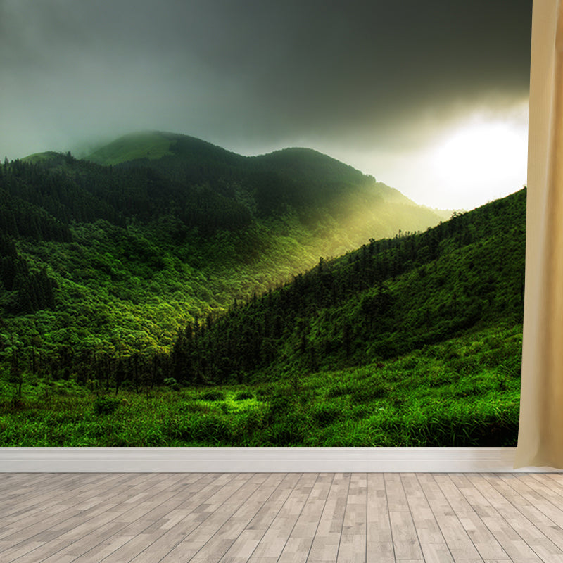 Environment Friendly Photography Wallpaper Mountain Home Decor Wall Mural