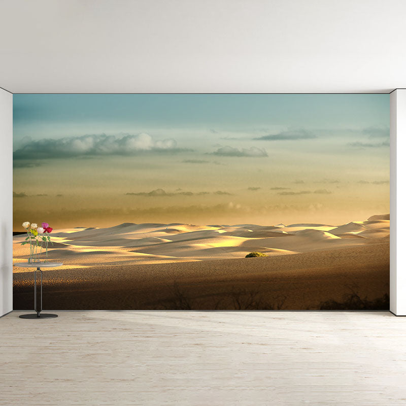 Photography Decorative Desert Wall Mural Sitting Room Mural Wallpaper