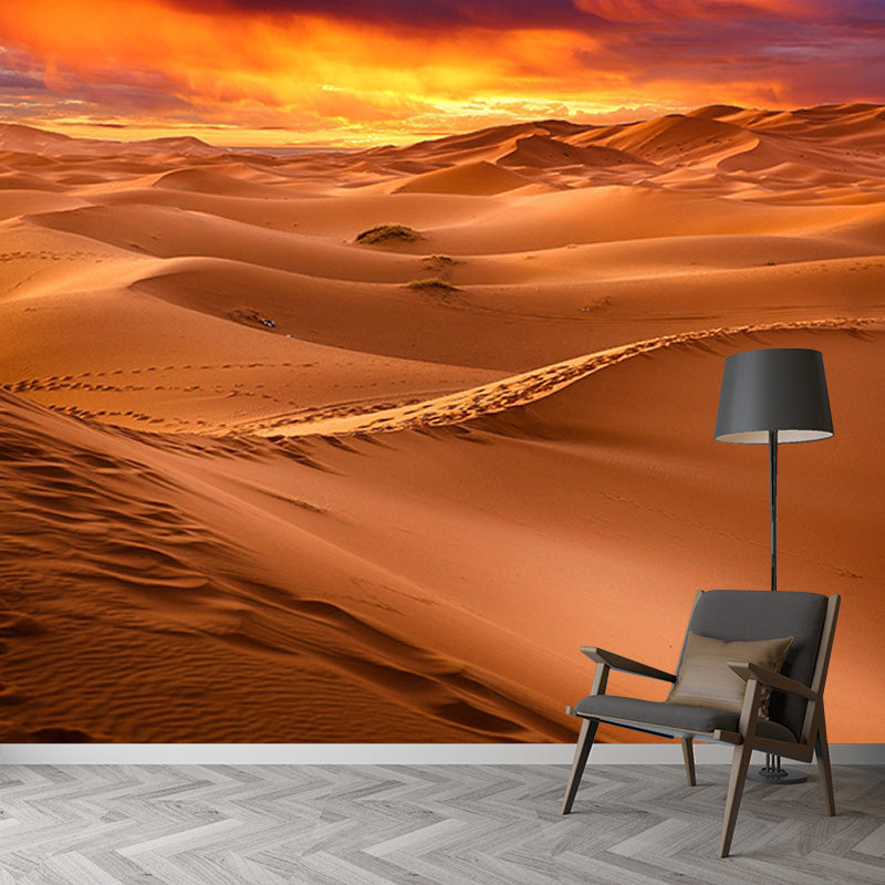 Desert Decorative Photography Wallpaper Living Room Mural Wallpaper