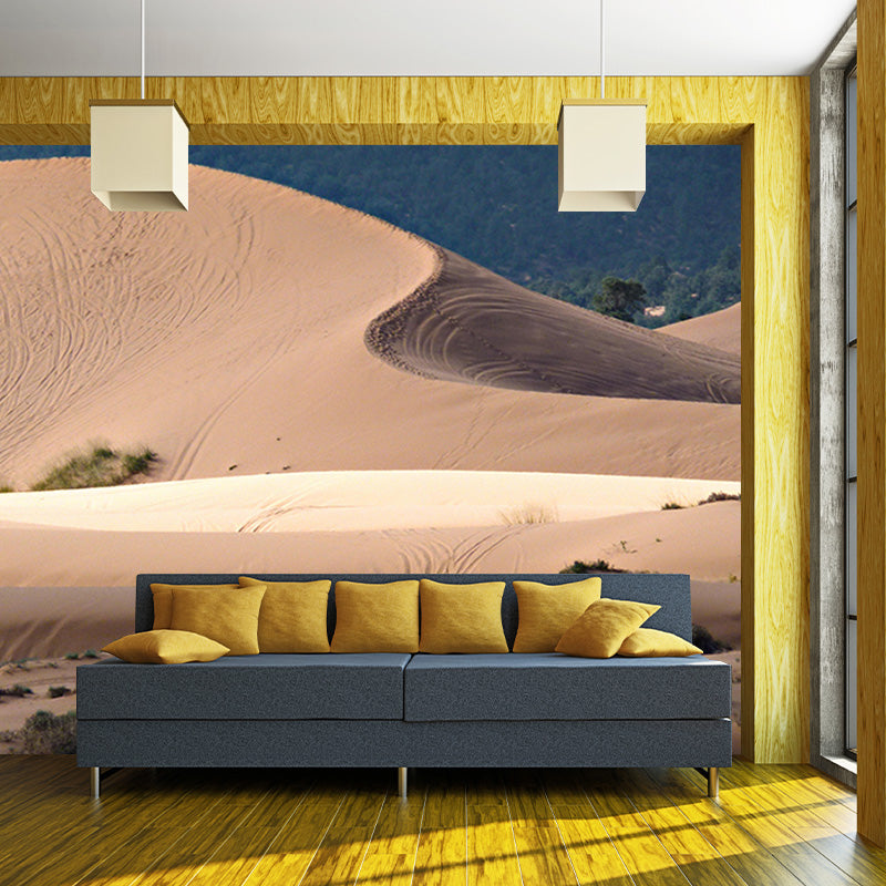 Desert Stain Resistant Photography Wall Mural Living Room Wallpaper