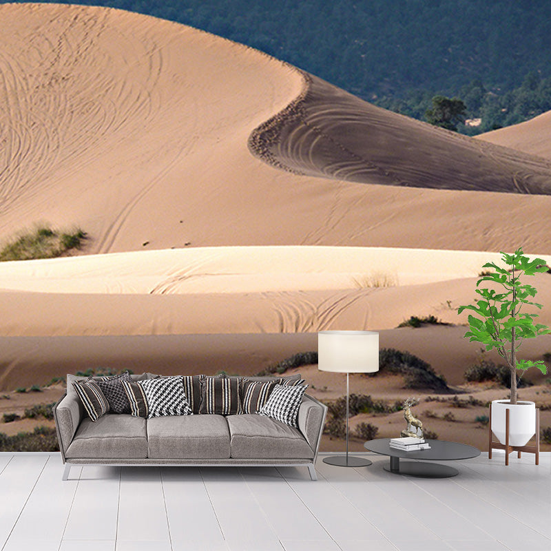 Desert Stain Resistant Photography Wall Mural Living Room Wallpaper