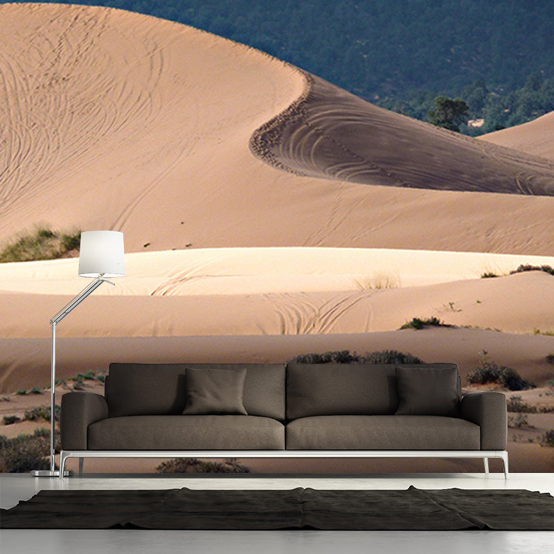 Desert Stain Resistant Photography Wall Mural Living Room Wallpaper