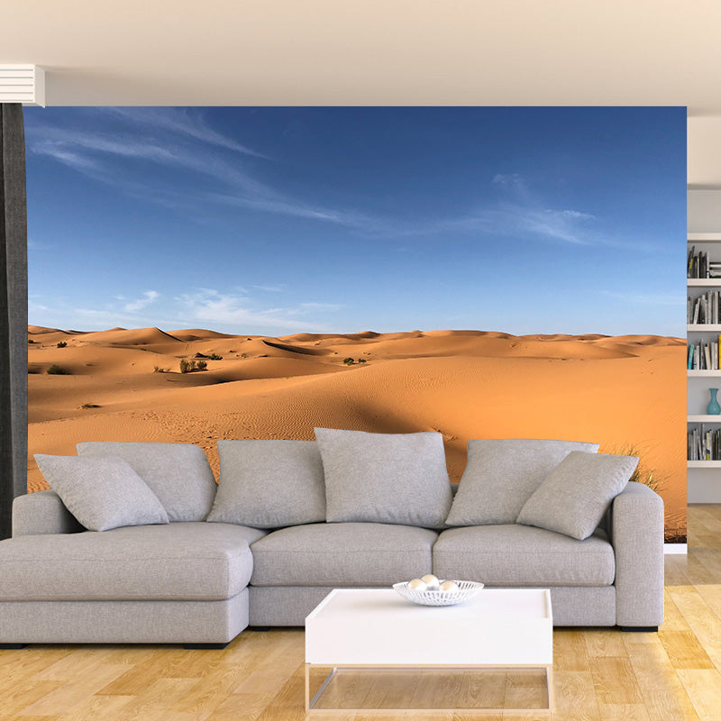 Wall Mural Desert Environmental Photographhy Living Room Mural Wallpaper