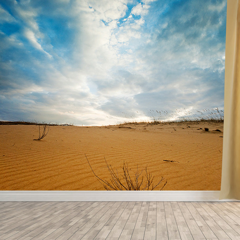 Wall Mural Desert Environmental Photographhy Living Room Mural Wallpaper