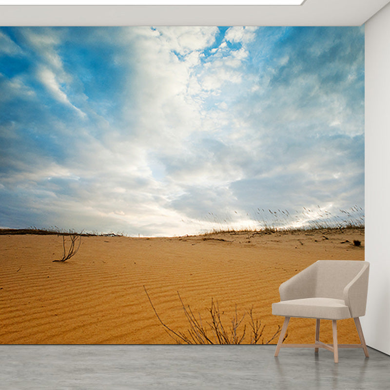 Wall Mural Desert Environmental Photographhy Living Room Mural Wallpaper