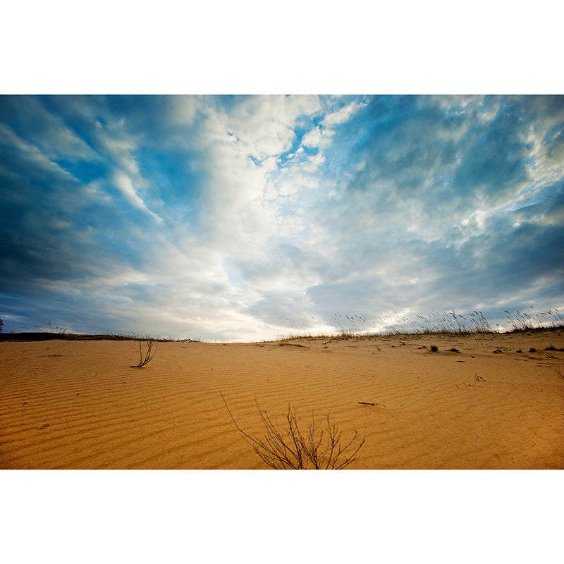 Wall Mural Desert Environmental Photographhy Living Room Mural Wallpaper