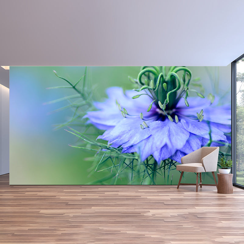 Photography Mildew Resistant Wall Mural Blossom Home Decor Wallpaper