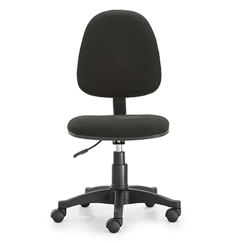 Adjustable Seat Height Office Chair Nylon Frame Swivel Chair with Caster Wheels