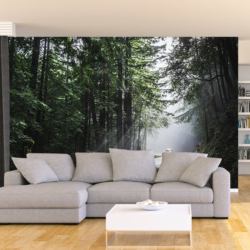 Decorative Outdoor Path Photography Wallpaper Living Room Wall Mural