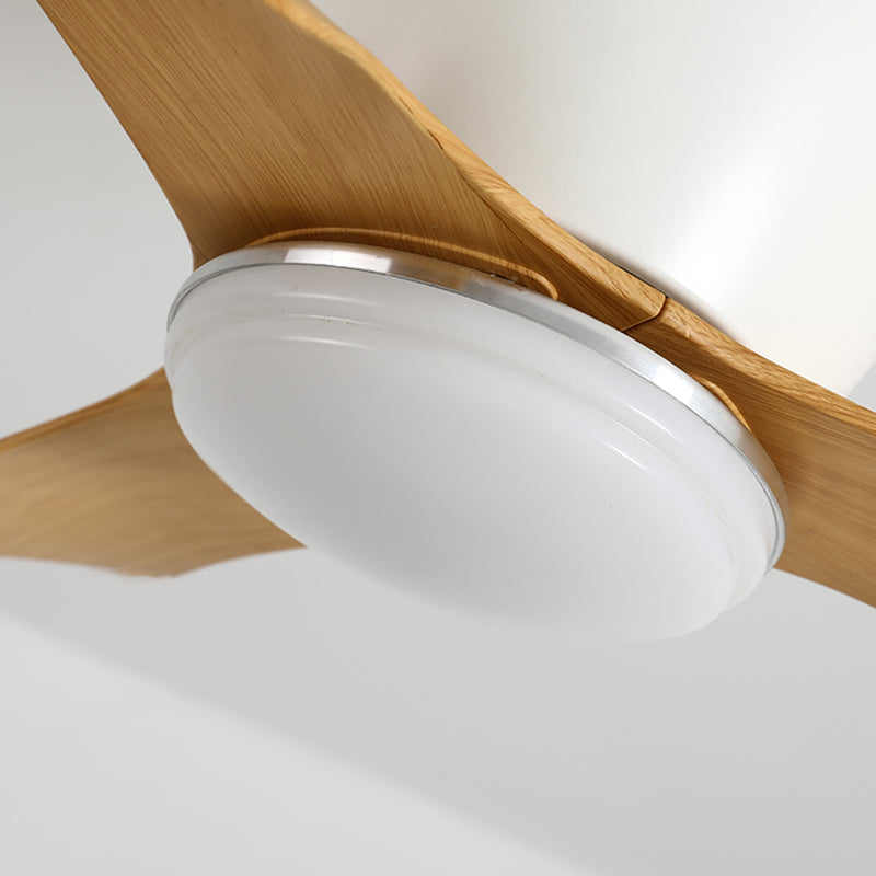 Fan Shape Metal Ceiling Fans Modern 1-Light Ceiling Fan Lamp Fixture