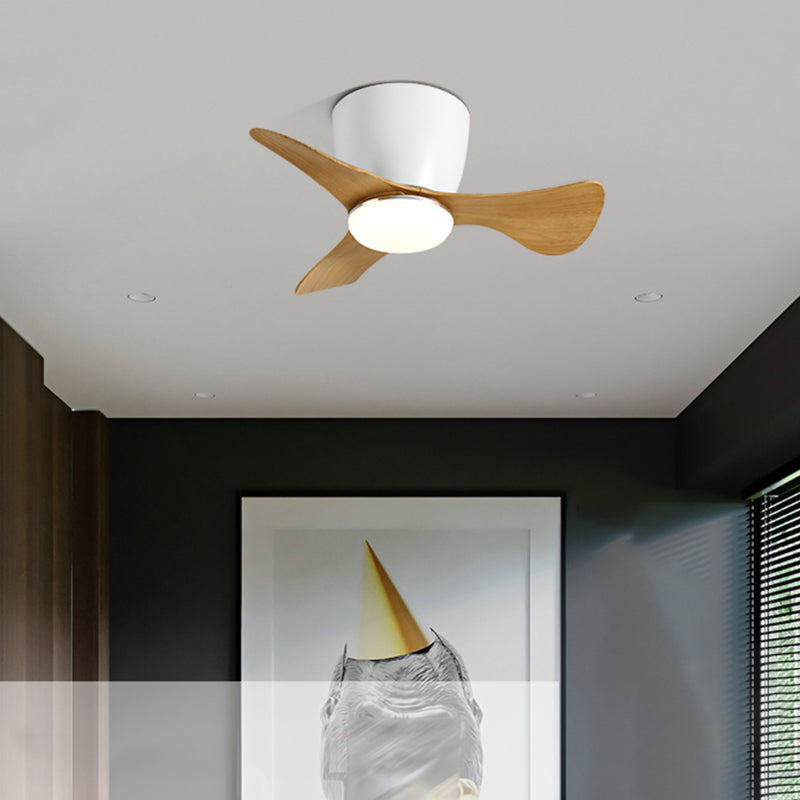 Fan Shape Metal Ceiling Fans Modern 1-Light Ceiling Fan Lamp Fixture