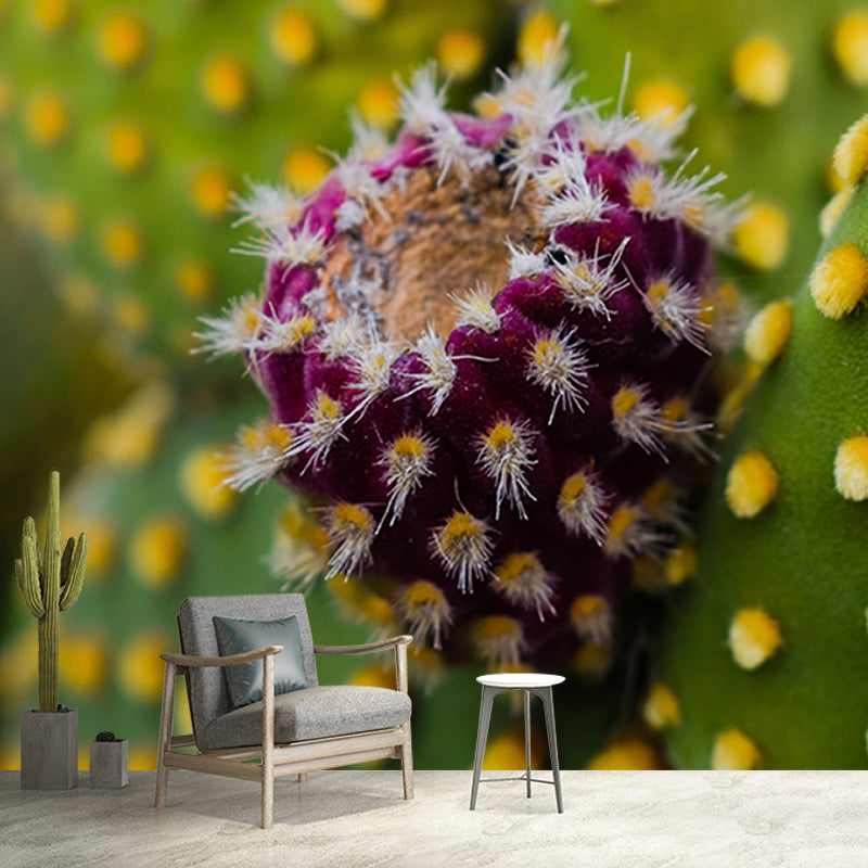 Pleasing Wall Mural Tropical Cactus Patterned Sitting Room Wall Mural