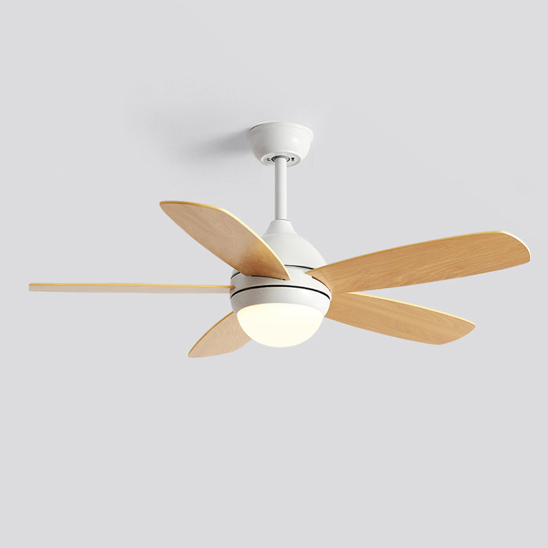 Dome Shape Metal Ceiling Fan Lighting Kids Style 1 Light Ceiling Fan Light