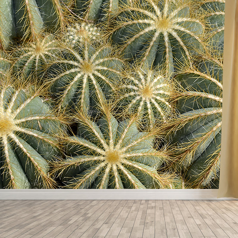 Vintage Wall Mural Tropical Cactus Print Drawing Room Wall Mural