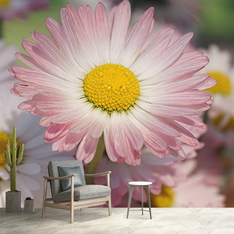 Flower Photography Washable Wall Mural Living Room Wallpaper