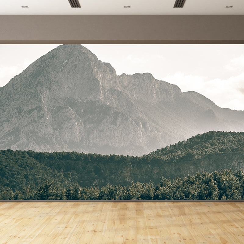 Wall Mural Photography Mountain Mildew Resistant Sitting Room Wallpaper