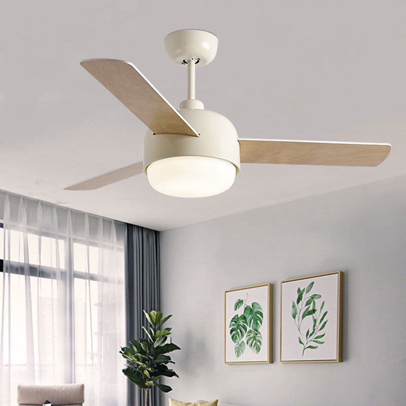 Modern Simple Colorful Ceiling Fan Lamp Metal LED Ceiling Fan Light for Bedroom