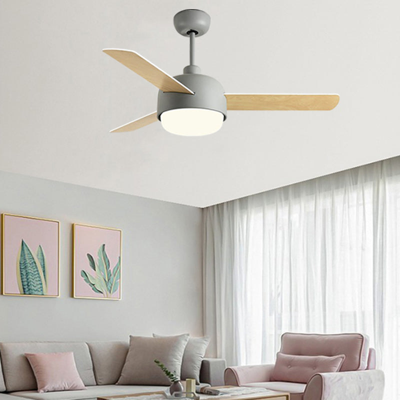 Modern Simple Colorful Ceiling Fan Lamp Metal LED Ceiling Fan Light for Bedroom