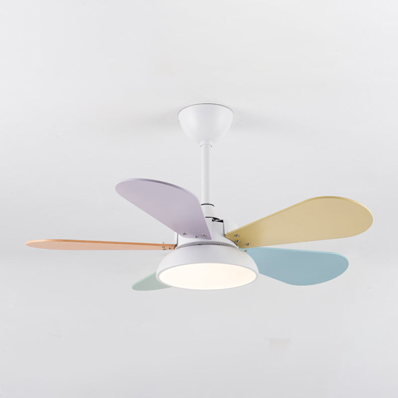 Nordic Style Colorful Ceiling Fan Lamp Acrylic Shade Ceiling Fan Light for Children Room