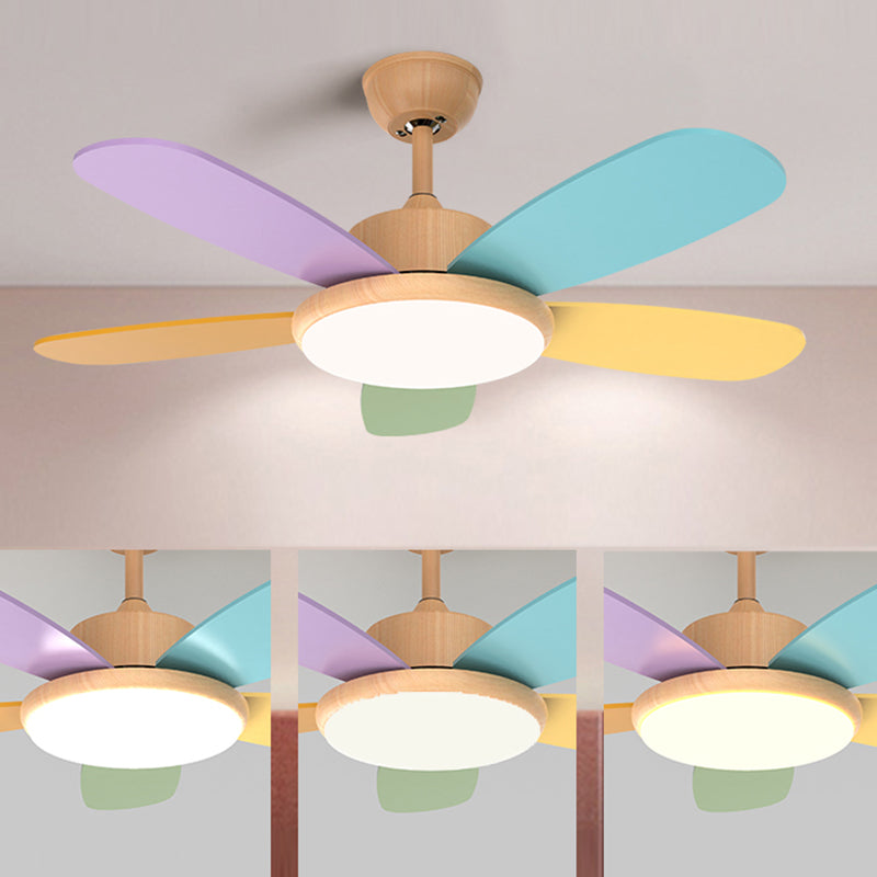 Nordic Style Colorful Ceiling Fan Lamp Acrylic Shade Ceiling Fan Light for Bedroom