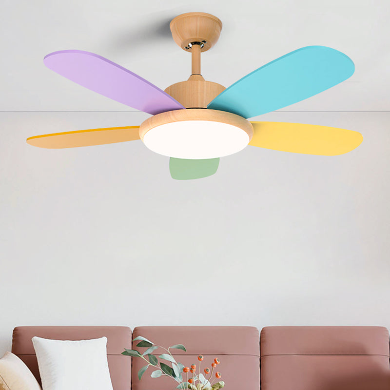 Nordic Style Colorful Ceiling Fan Lamp Acrylic Shade Ceiling Fan Light for Bedroom