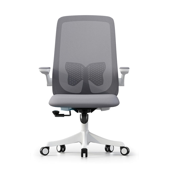 Modern & Contemporary Office Chair Flip-Up Armrest High Back Ergonomic Task Chair