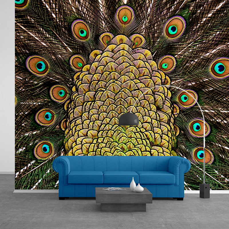 Photography Wall Mural Peacock Feather Patterned Drawing Room Wall Mural