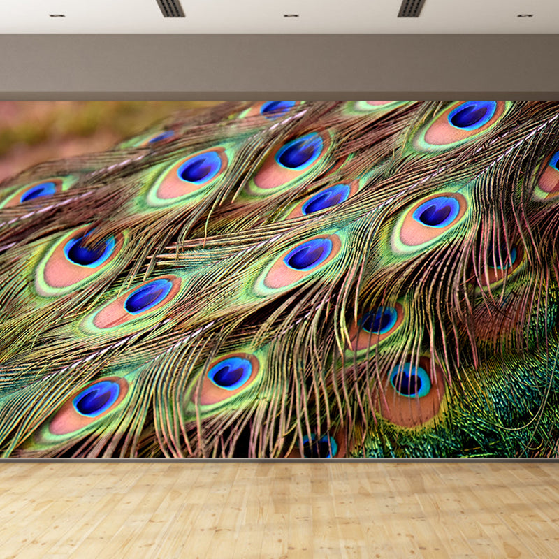 Chromatic Wall Mural Peacock Feather Print Living Room Wall Mural