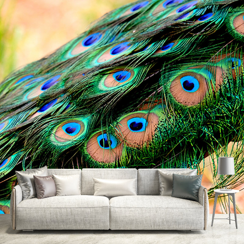 Pleasing Wall Mural Peacock Feather Pattern Sitting Room Wall Mural