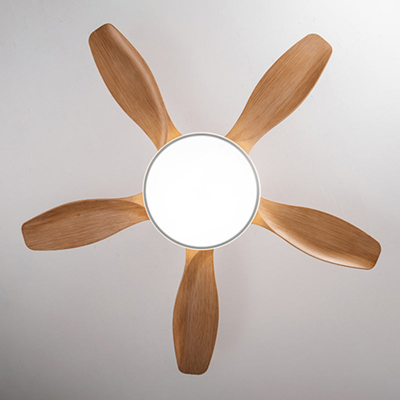 Unique Shape Metal Ceiling Fan Lights Kids Style 2 Light Ceiling Fan Lamps for Living Room