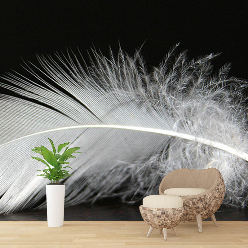 Decorative Wall Mural Feather Printed Drawing Room Wall Mural