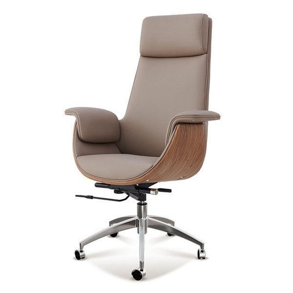 Contemporary High Back Executive Chair Padded Arms Office Chair for Home Office